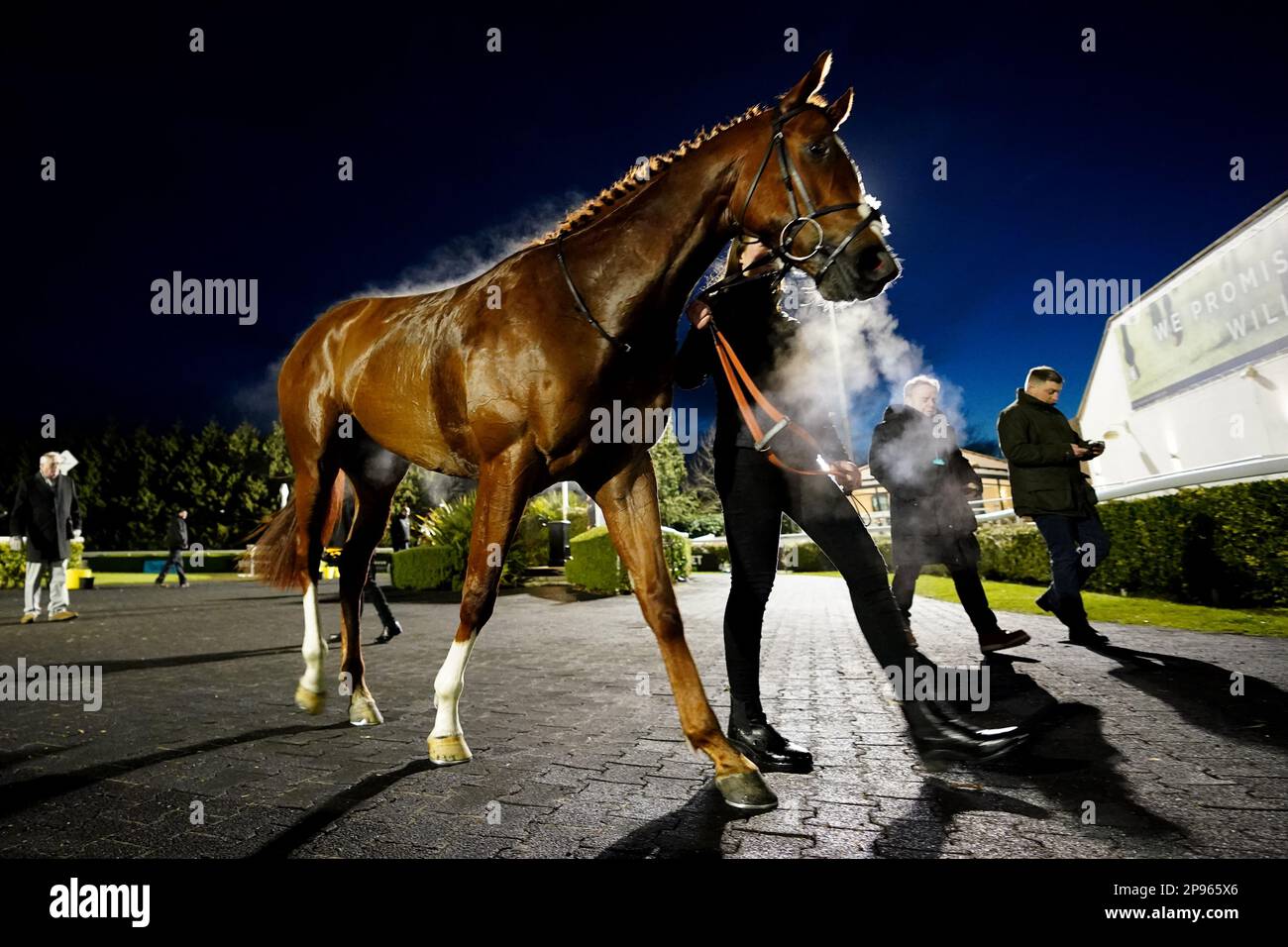 McLean House, nachdem er die Unibet Support Safe Gambling Restricted Novice Stakes auf der