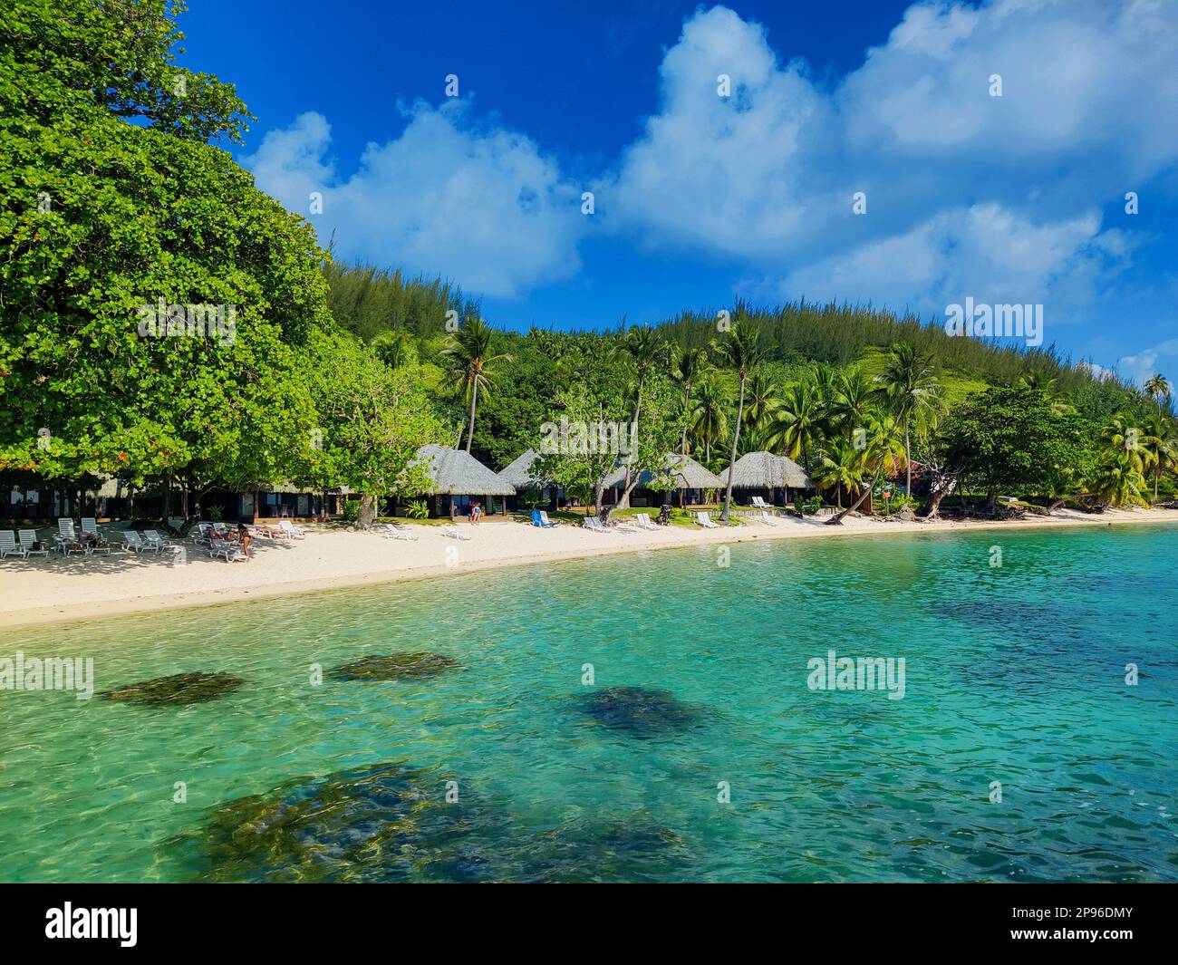 Tahiti Island Resort Strand, tropisches Paradies im Pazifik Ozeanien Stockfoto