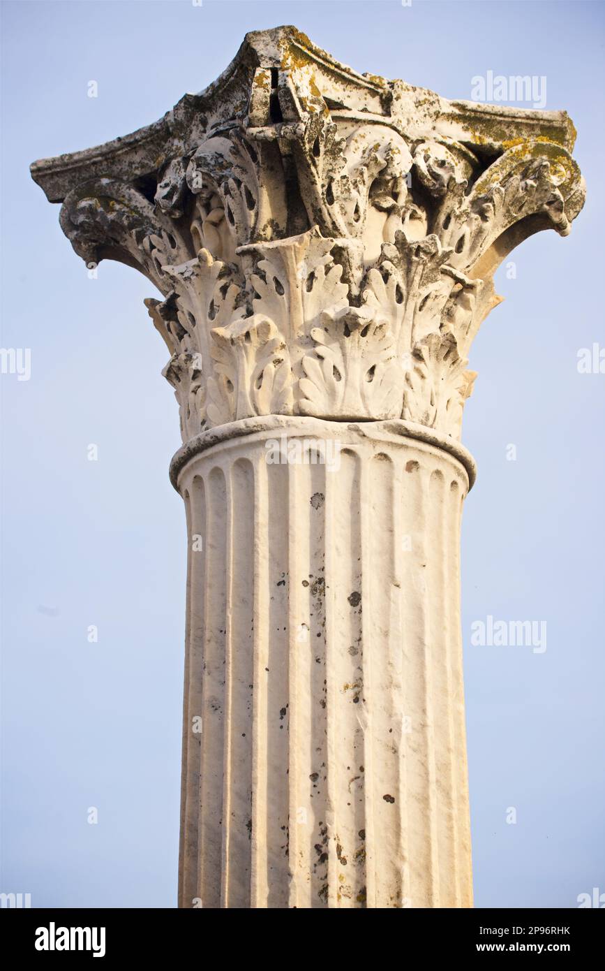 Details einer gerillten korinthischen Steinsäule und Hauptstadt mit Acanthus-Blättern in Pompeji, Neapel, italien Stockfoto