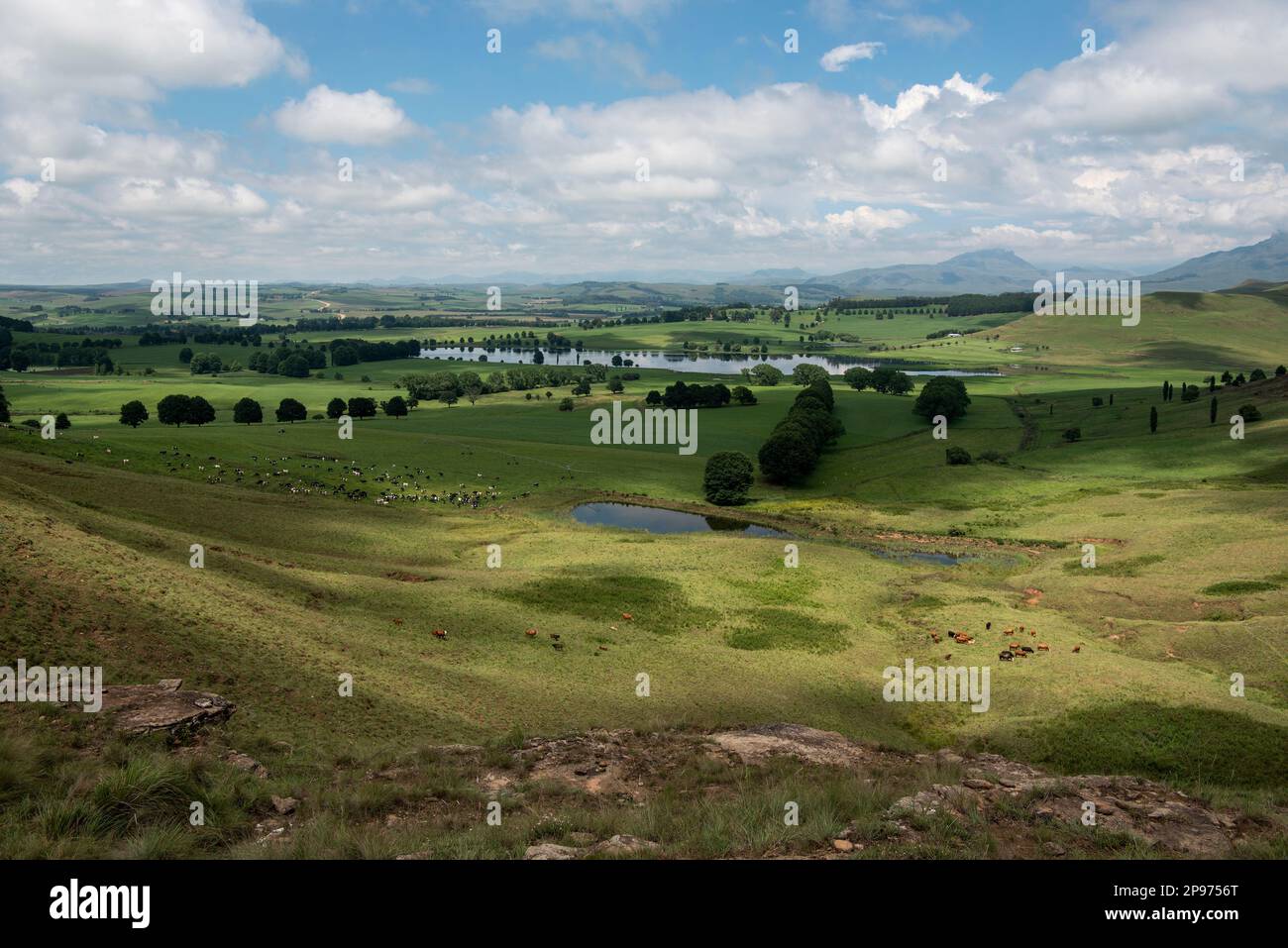 Ein wunderschöner Blick über das Ackerland in KwaZulu-Natal mit dem Drakenberg im Hintergrund Stockfoto