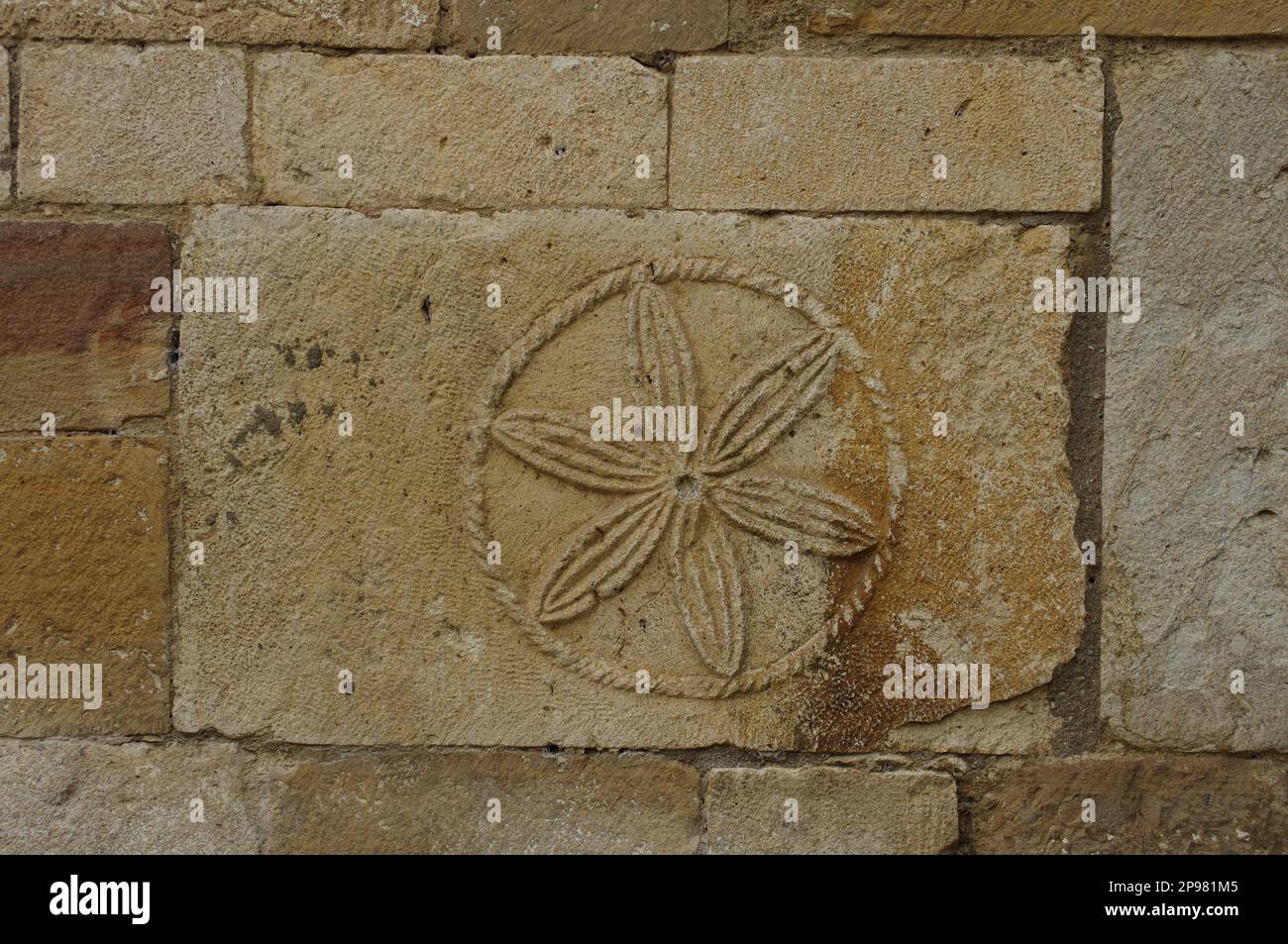 Roccavivara - Molise - Heiligtum der Madonna di Canneto - die Blume des Lebens mittelalterliches Symbol. Stockfoto