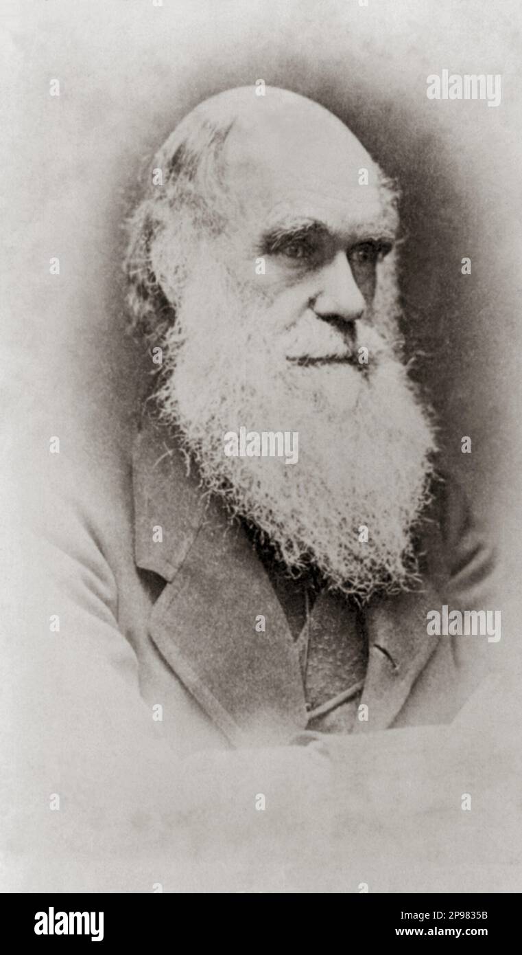 Der englische Naturforscher CHARLES Robert DARWIN ( Shrewsbury , Shropshire 1809 - Downe , Kent 1882 ). - NATURALISTA - SCIENZIATO - SCIENZIATO - SCIENTIST - EVOLUZIONISMO - EVOLUTIONISMUS - Teoria Evoluzionista - barba - Bart - Portrait - ritratto - uomo anziano vecchio - Älterer Mann - foto storiche - foto storica - scienziato - Wissenschaftler - Portrait - Ritus - sciratba - cravatta - WISSENSCHAFT - BIOLOGIE - BIOLOGIE - BIOLOGIE --- ARCHIVIO GBB Stockfoto