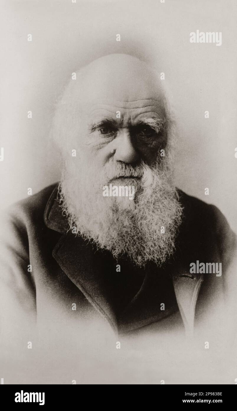 Der englische Naturforscher CHARLES Robert DARWIN ( Shrewsbury , Shropshire 1809 - Downe , Kent 1882 ). - NATURALISTA - SCIENZIATO - SCIENZIATO - SCIENTIST - EVOLUZIONISMO - EVOLUTIONISMUS - Teoria Evoluzionista - barba - Bart - Portrait - ritratto - uomo anziano vecchio - Älterer Mann - foto storiche - foto storica - scienziato - Wissenschaftler - Portrait - Ritus - sciratba - cravatta - WISSENSCHAFT - BIOLOGIE - BIOLOGIE - BIOLOGIE --- ARCHIVIO GBB Stockfoto