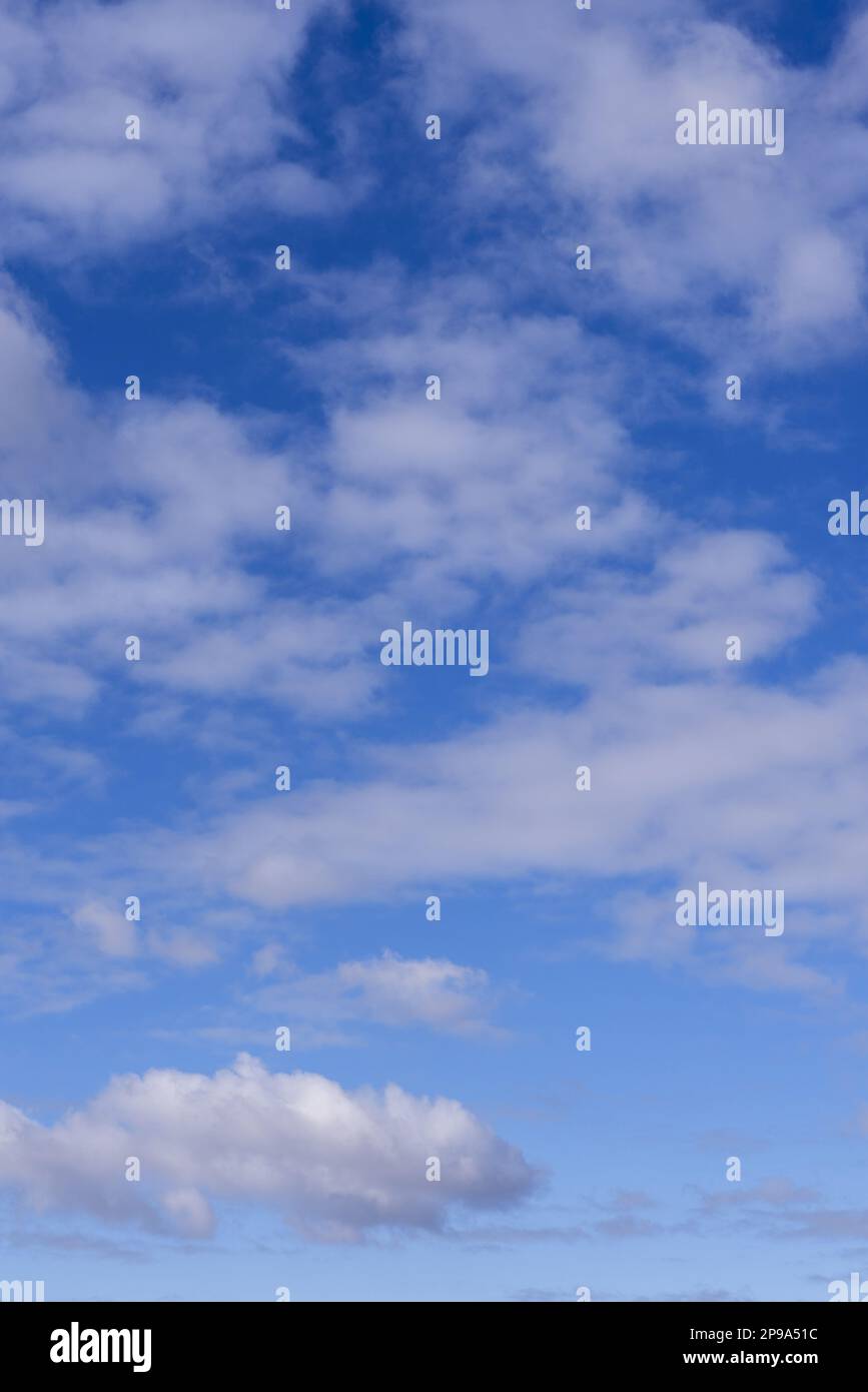 Ein blauer Himmel voller flauschiger Wolken. Vektorwoll-Texturhintergrund Stockfoto