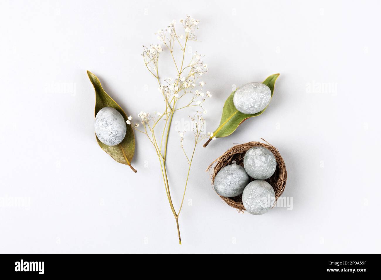 Minimal-ökologisches Osterkonzept mit getrockneten Blumen. Graue Eier auf trockenen Magnolienblättern und in einem braunen Zweignest auf grauem Hintergrund Stockfoto