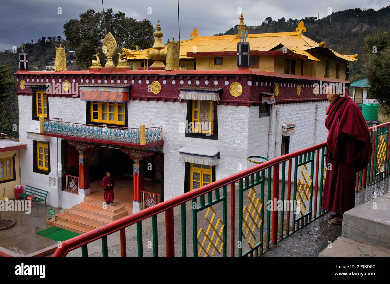 Mönche in Dip Tse Chok Ling Monastery.McLeod Ganj, Dharamsala Himachal Pradesh Zustand, Indien, Asien Stockfoto