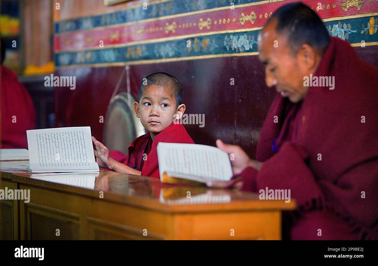 Puja, Mönche beten, in Dip Tse Chok Ling Monastery.McLeod Ganj, Dharamsala Himachal Pradesh Zustand, Indien, Asien Stockfoto
