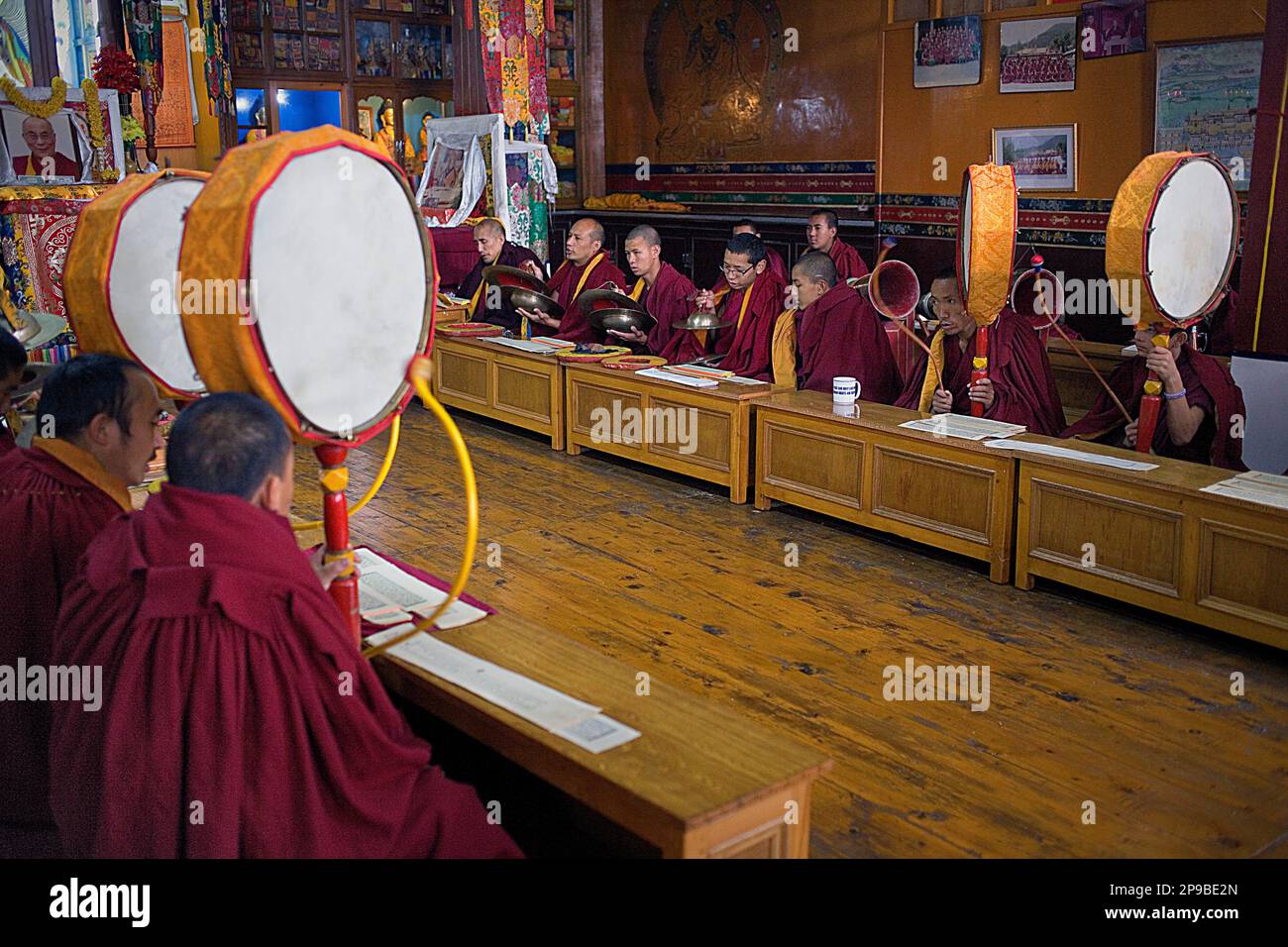 Puja, Mönche beten, in Dip Tse Chok Ling Monastery.McLeod Ganj, Dharamsala Himachal Pradesh Zustand, Indien, Asien Stockfoto