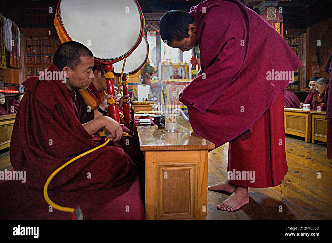 Trinken Chai, Puja, Mönche beten, in Dip Tse Chok Ling Monastery.McLeod Ganj, Dharamsala Himachal Pradesh Zustand, Indien, Asien Stockfoto