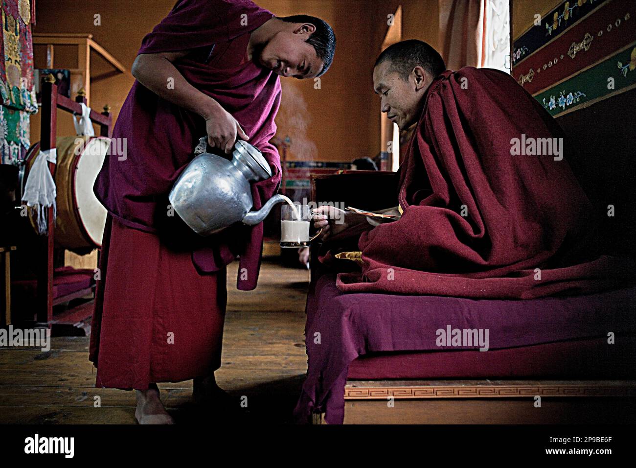 Trinken Chai, Puja, Mönche beten, in Dip Tse Chok Ling Monastery.McLeod Ganj, Dharamsala Himachal Pradesh Zustand, Indien, Asien Stockfoto