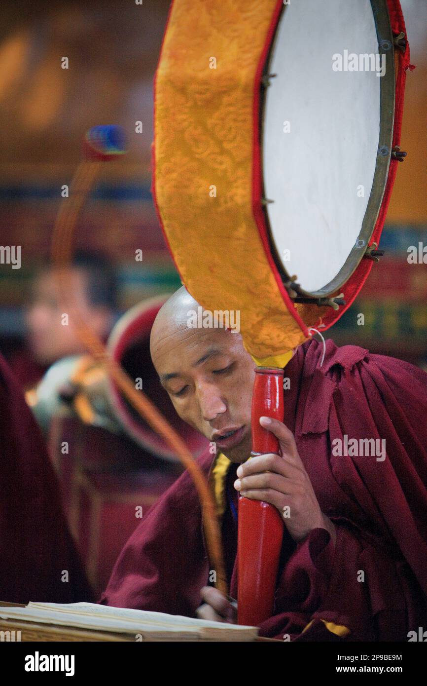 Puja, Mönche beten, in Dip Tse Chok Ling Monastery.McLeod Ganj, Dharamsala Himachal Pradesh Zustand, Indien, Asien Stockfoto