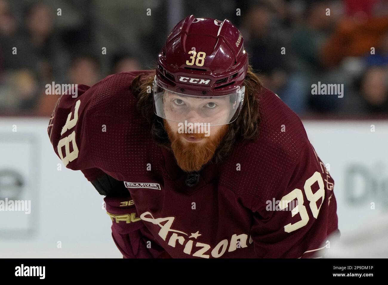 Arizona Coyotes center Liam O'Brien (38) in the first period during an