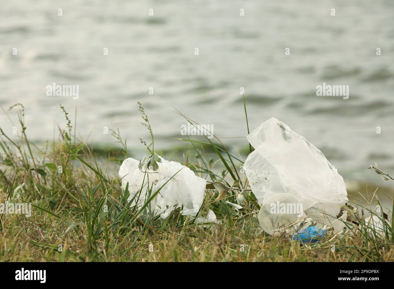 Plastikmüll verstreut auf Gras in der Nähe des Flusses Stockfoto