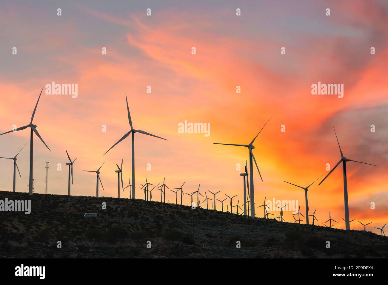 Windmühlen bei Sonnenuntergang in Kalifornien Stockfoto