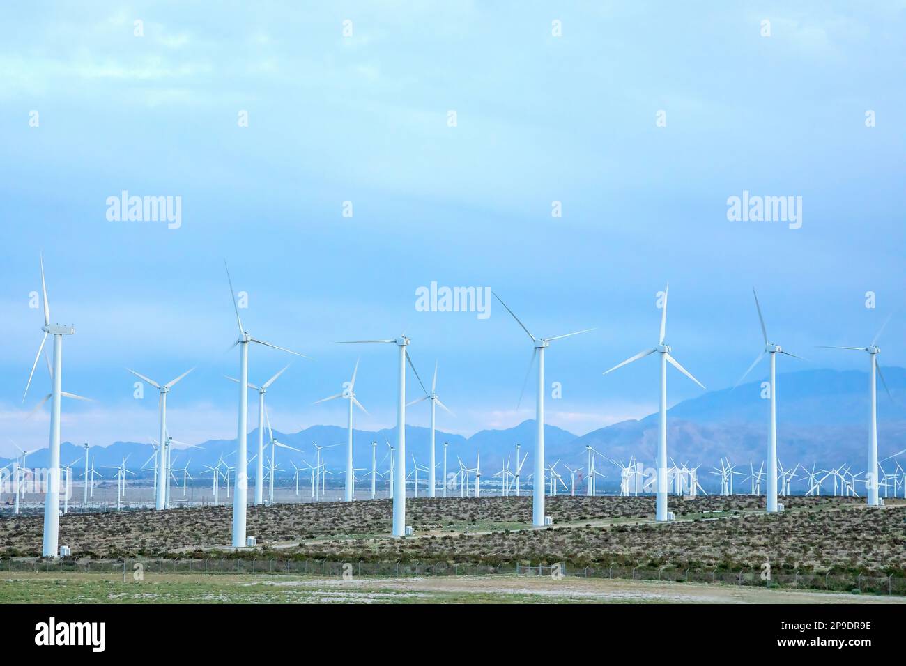 Windmühlen, die erneuerbare Energie in Kalifornien erzeugen Stockfoto