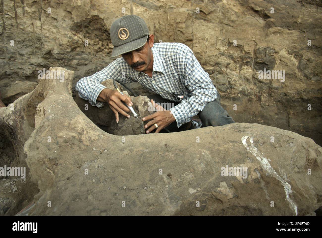 Paläontologe Iwan Kurniawan arbeitet an der Ausgrabung versteinerter Knochen einer ausgestorbenen Elefantenart, die wissenschaftlich als Elephas hysudrindicus, oder allgemein als Blora Elefant bezeichnet, identifiziert wurde, in Sunggun, Mendalem, Kradenan, Blora, Zentraljava, Indonesien. Das Team von Wissenschaftlern von Vertebrate Research (Geologische Agentur, indonesisches Ministerium für Energie und mineralische Ressourcen) unter der Leitung von Kurniawan selbst mit Fachroel Aziz entdeckte die Knochen der Spezies fast vollständig (etwa 90 Prozent vollständig), was es ihnen später ermöglichen würde, eine wissenschaftliche Rekonstruktion zu bauen, die in... Stockfoto