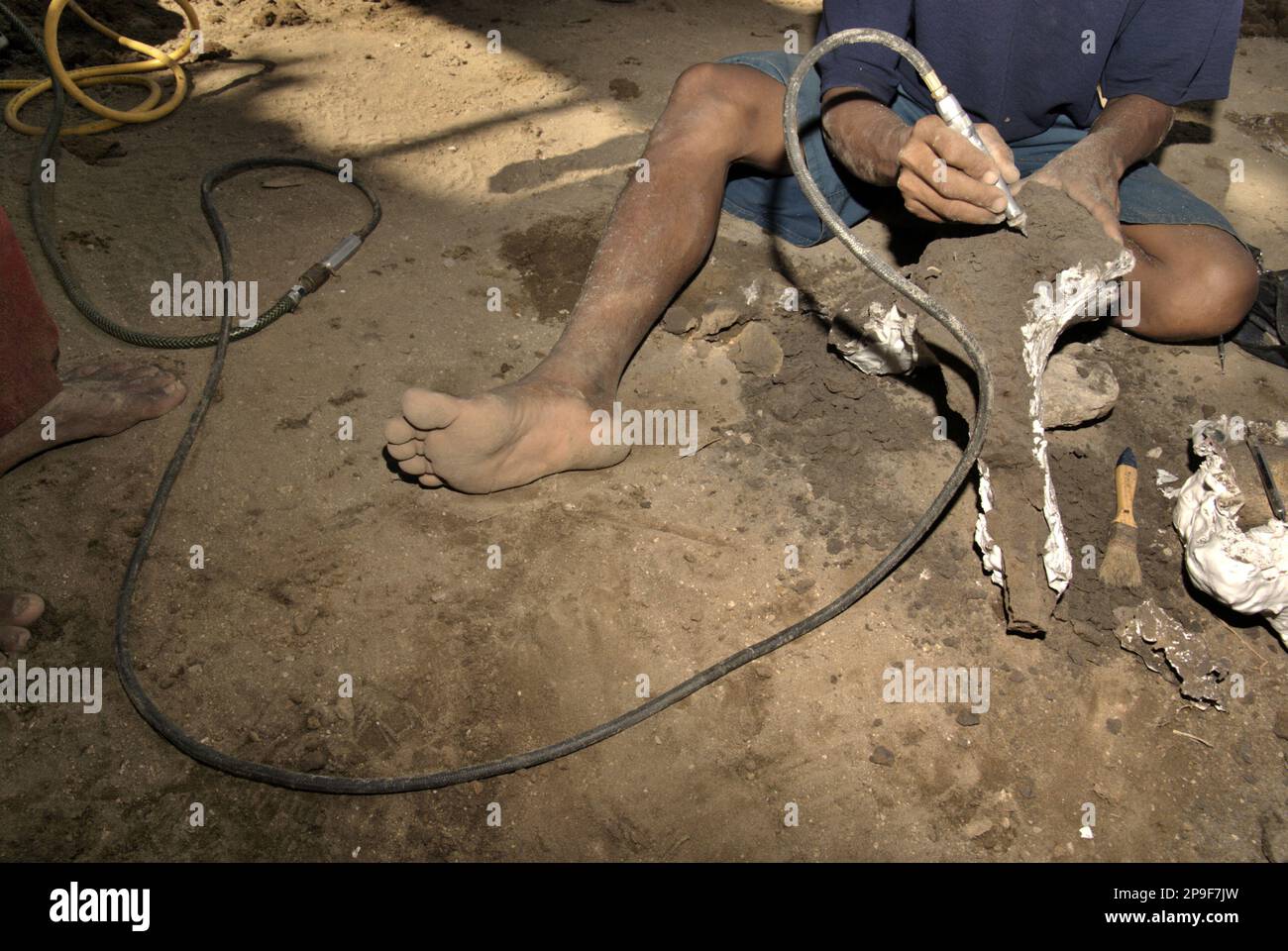 Ein Dorfbewohner benutzt einen Reiniger, da er mit einem versteinerten Knochen einer ausgestorbenen Elefantenart arbeitet, die wissenschaftlich als Elephas hysudrindicus oder allgemein als Blora Elephant bezeichnet wird, an der Ausgrabungsstätte in Sunggun, Mendalem, Kradenan District, Blora Regency, Central Java Province, Indonesien. Das Fossil ist teilweise mit Gips bedeckt, um später zum Geologiemuseum in Bandung, West Java, zu transportieren. Das Team von Wissenschaftlern von Vertebrate Research (Geologische Agentur, indonesisches Ministerium für Energie und mineralische Ressourcen) unter der Leitung von Iwan Kurniawan und Fachroel Aziz entdeckte... Stockfoto