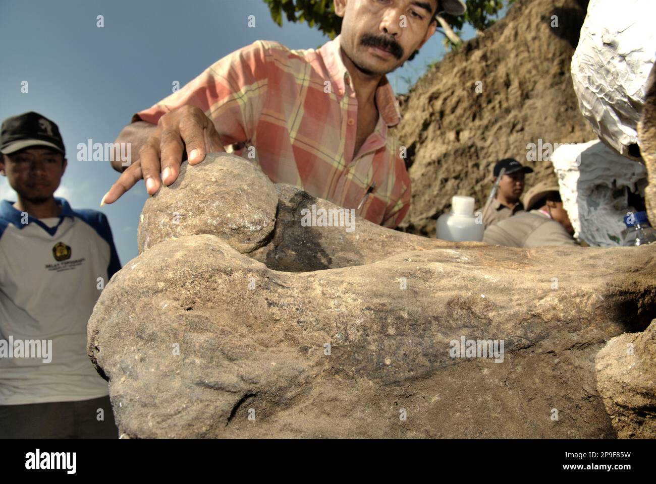 Paläontologe Iwan Kurniawan arbeitet an einem versteinerten Knochen einer ausgestorbenen Elefantenart, die wissenschaftlich als Elephas hysudrindicus, oder allgemein als Blora Elefant bezeichnet, identifiziert wurde, an der Ausgrabungsstätte in Sunggun, Mendalem, Kradenan, Blora, Zentraljava, Indonesien. Das Team von Wissenschaftlern von Vertebrate Research (Geologische Agentur, indonesisches Ministerium für Energie und mineralische Ressourcen) unter der Leitung von Kurniawan selbst mit Fachroel Aziz entdeckte die Knochen der Spezies fast vollständig (etwa 90 Prozent vollständig), was es ihnen später ermöglichen würde, eine wissenschaftliche Rekonstruktion zu bauen, die in... Stockfoto