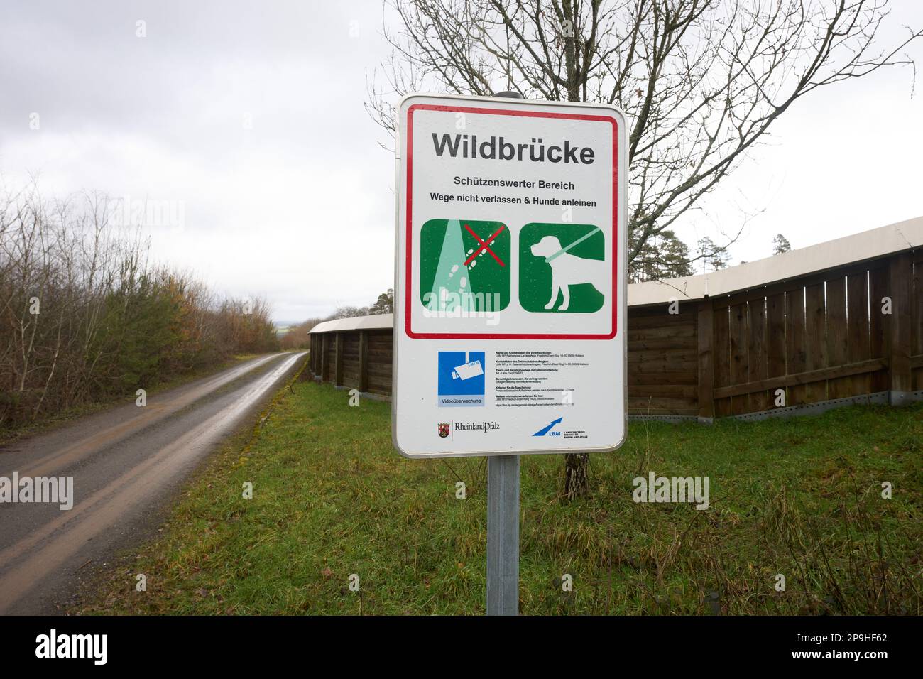 Bernkastel Kues, Deutschland. 10. März 2023. Eine Wildtierbrücke ermöglicht es den Tieren, den BundesHighway 50 in der Nähe von Bernkastel-Kues zu überqueren. Grüne Brücken entlang von Verkehrswegen können eine geeignete Maßnahme sein, um die Zersplitterung von Lebensräumen für bodengestützte Tierarten mit größeren Anforderungen an die Reichweite zu verringern. (Zu dpa „Rheinland-Pfalz verlässt sich auf mehr Wildtierbrücken“) Kredit: Thomas Frey/dpa/Alamy Live News Stockfoto
