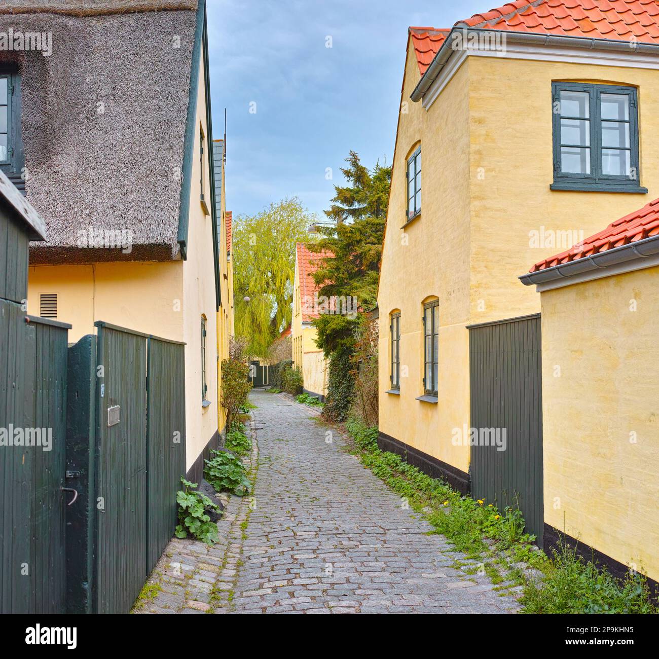 Historische Architektur von Dragor. Olld Häuser in der historischen Stadt Dragoer, Kopenhagen, Dänemark. Stockfoto