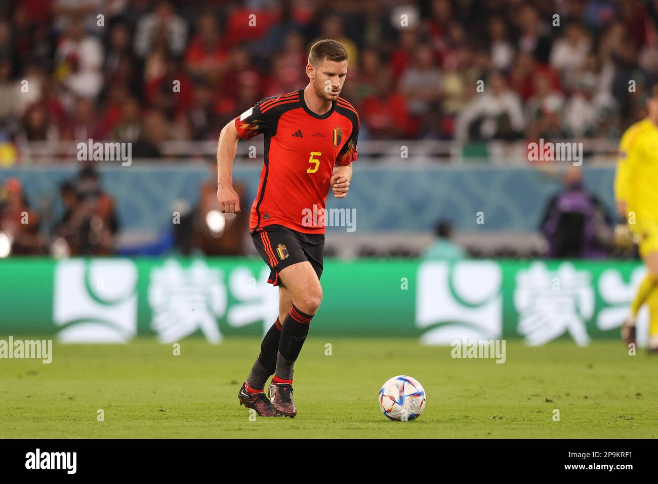 Jan Vertonghen aus Belgien wurde während der FIFA-Weltmeisterschaft Katar 2022 im Ahmad bin Ali Stadium im Spiel zwischen Belgien und Kanada gesehen. Endergebnis: Belgien 1:0 Kanada. Stockfoto