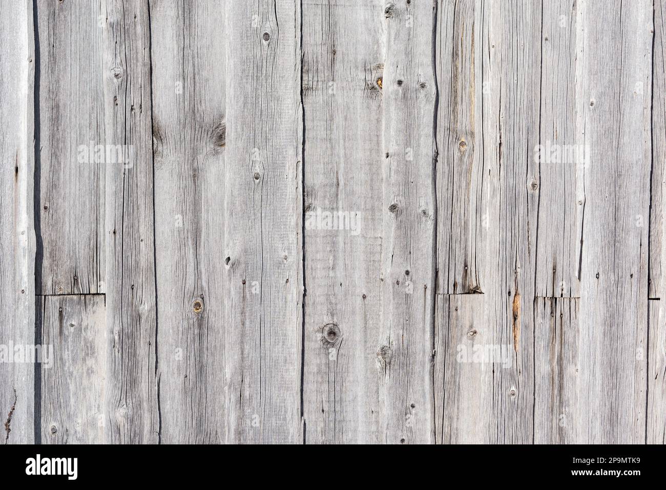 Nahaufnahme des Hintergrunds mit Holzstruktur. Stockfoto