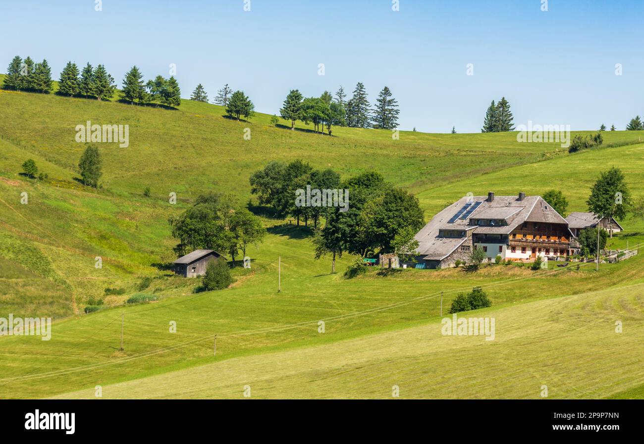 Traditionelles Bauernhaus im Schwarzwald in hügeliger Landschaft, umgeben von grünen Wiesen und Bäumen in Süddeutschland Stockfoto