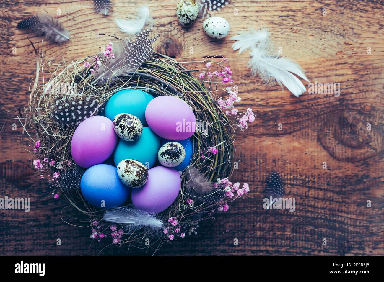 Happy Easter - Nest mit Ostereiern auf Holzhintergrund mit Kopierbereich Stockfoto