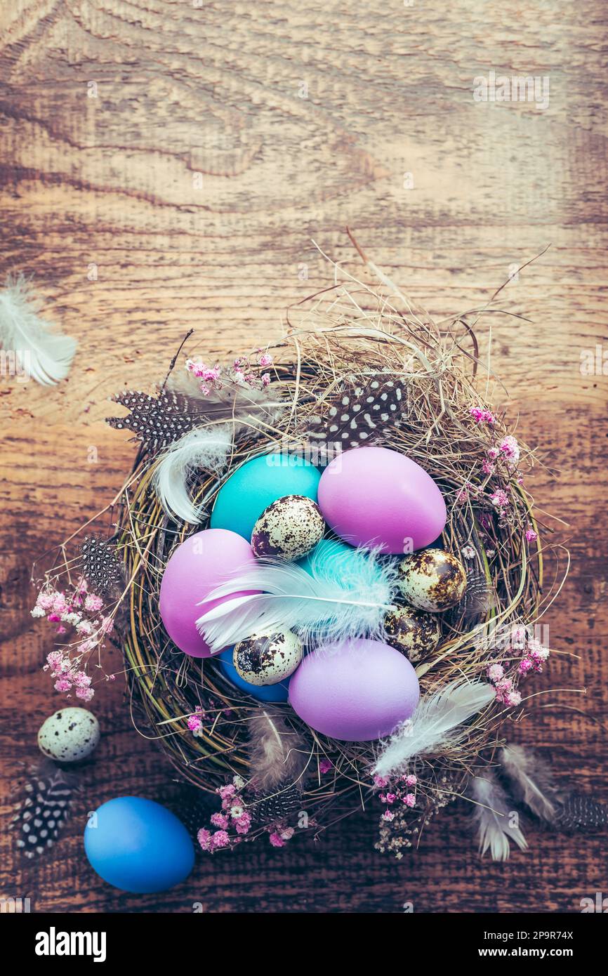 Happy Easter - Nest mit Ostereiern auf Holzhintergrund mit Kopierbereich Stockfoto