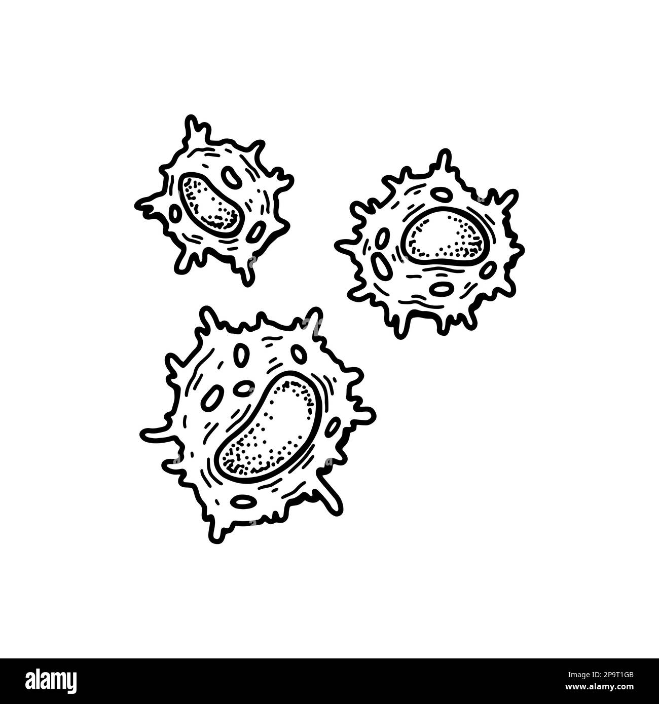 Natürliche Killerzelle isoliert auf weißem Hintergrund. Handgezeichnete mikrobiologische Vektordarstellung im Skizzenstil. Adaptives Immunsystem Stock Vektor