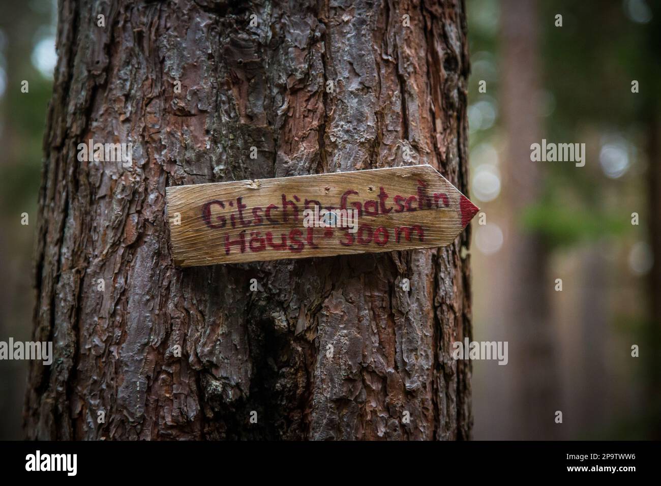Wegweiser nach Gitsch'n-Gatsch'n-Häusl, Granitfelsformationen im Waldviertel, Österreich Stockfoto