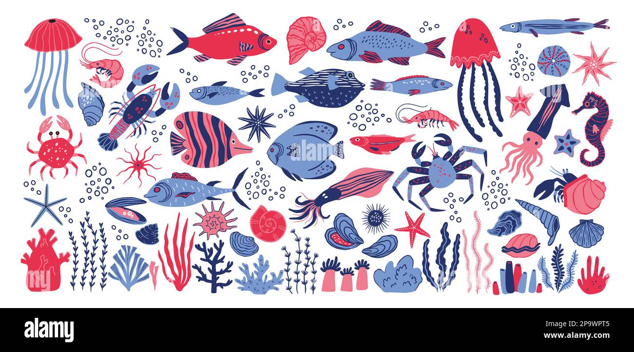 Meerestiere, Muscheln und Muscheln, süße Korallen und Fische. Wunderschöne tropische Unterwassermuscheln, farbenfrohe Seetang- und Algenklitschen, die Seesterne-Silhouetten zeichnen. Kindische Dekorationsvektoren, isolierte Illustration Stock Vektor