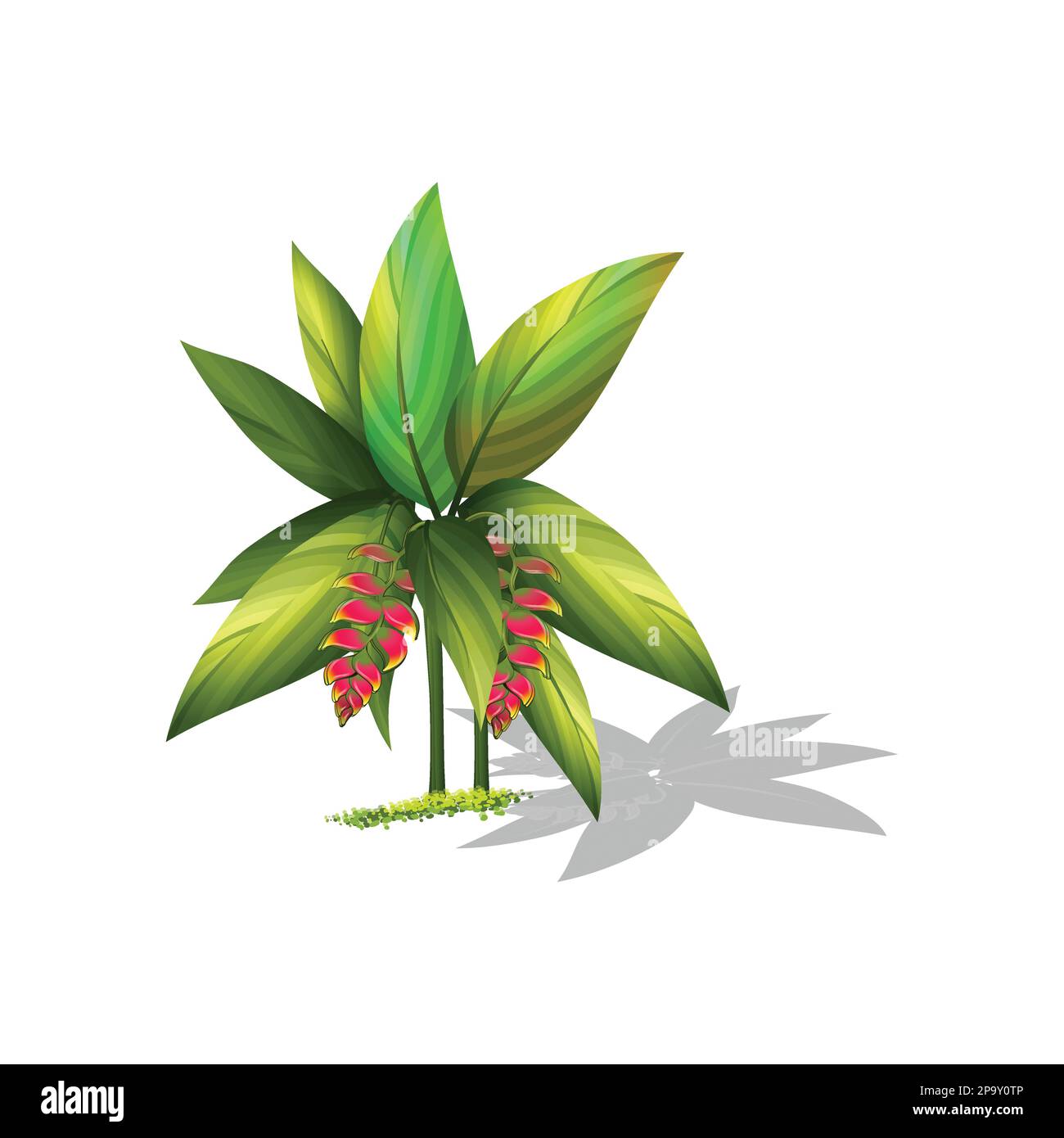 Pflanzen Baum- und Blumenvektorkunst Stock Vektor