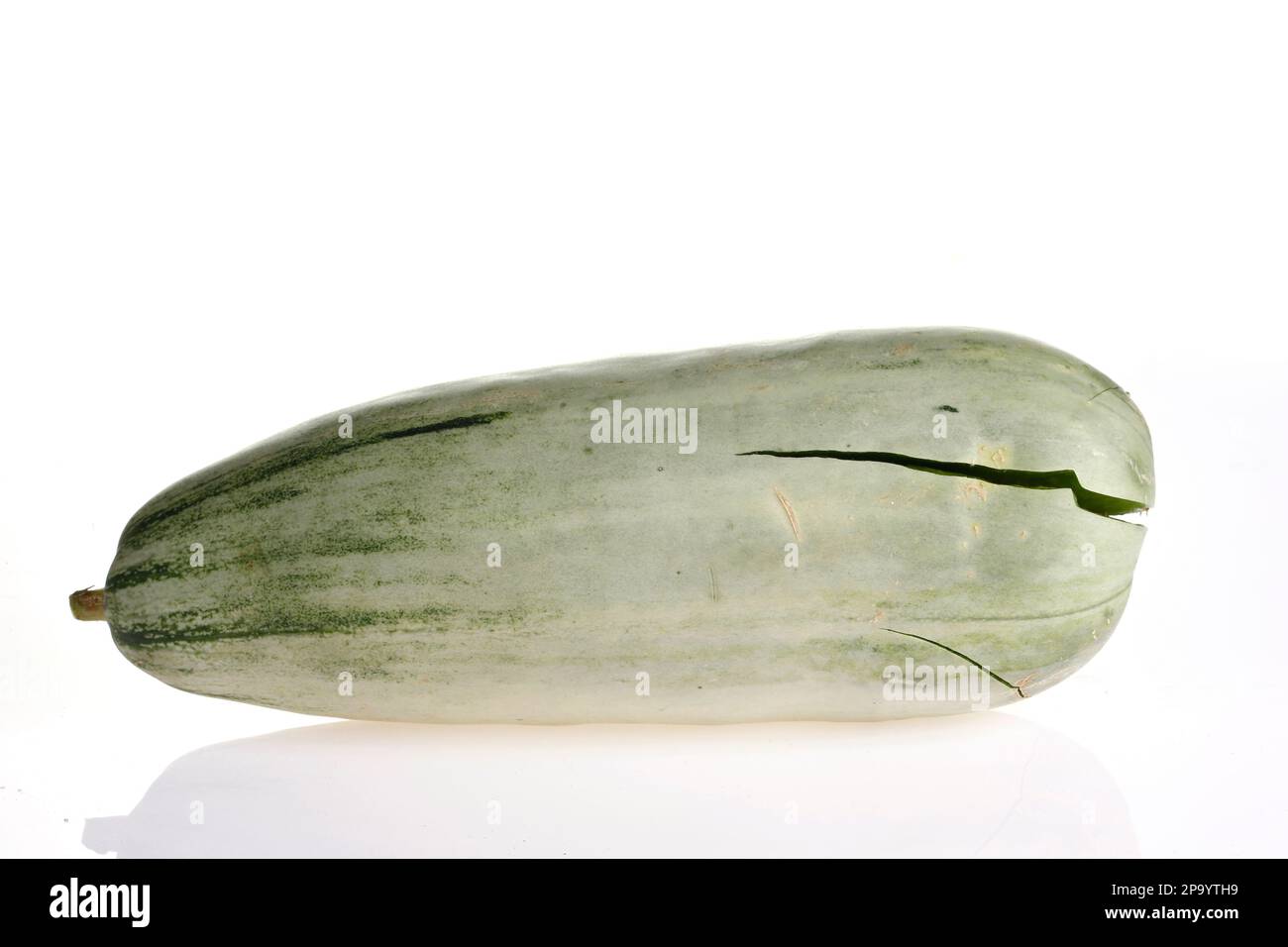 Melone auf weißem Hintergrund, aus nächster Nähe aufgenommen Stockfoto