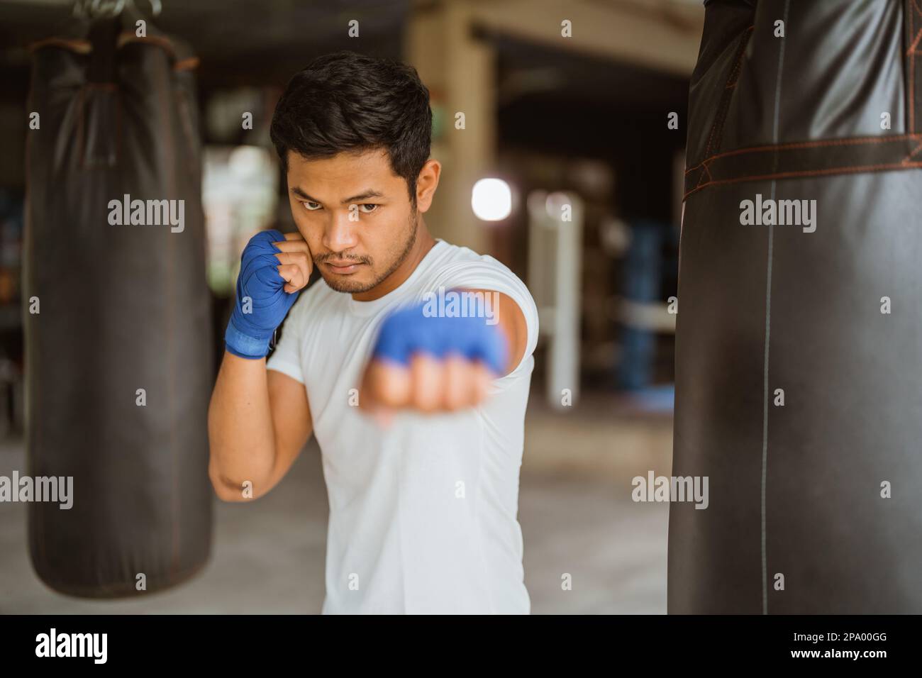 Boxer schlägt die schweren Säcke im Ring Stockfoto