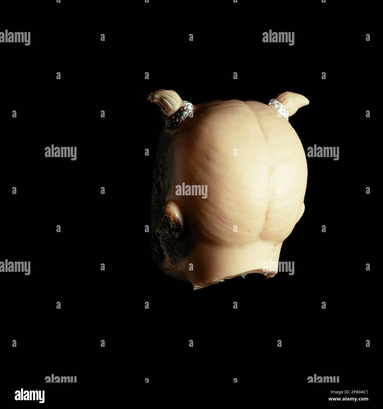 Unheimlich isoliert gespenstisch besessenes Baby Mädchen Puppenkopf gruselig verbranntes Gesicht mit grauem Auge auf schwarzem Hintergrund Nahaufnahme Makro Stockfoto
