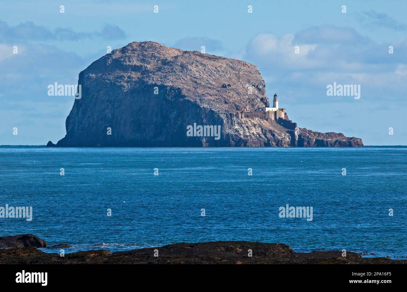 North Berwick, East Lothian, Schottland, Großbritannien. 11. märz 2023 Sonnenschein segnete das Meer für diejenigen, die am Strand unterwegs sind und das Wasser mit einer Temperatur von 4 Grad Celsius. Im Bild: Der legendäre Bass Rock wartet auf die Rückkehr der Gannets. Stockfoto