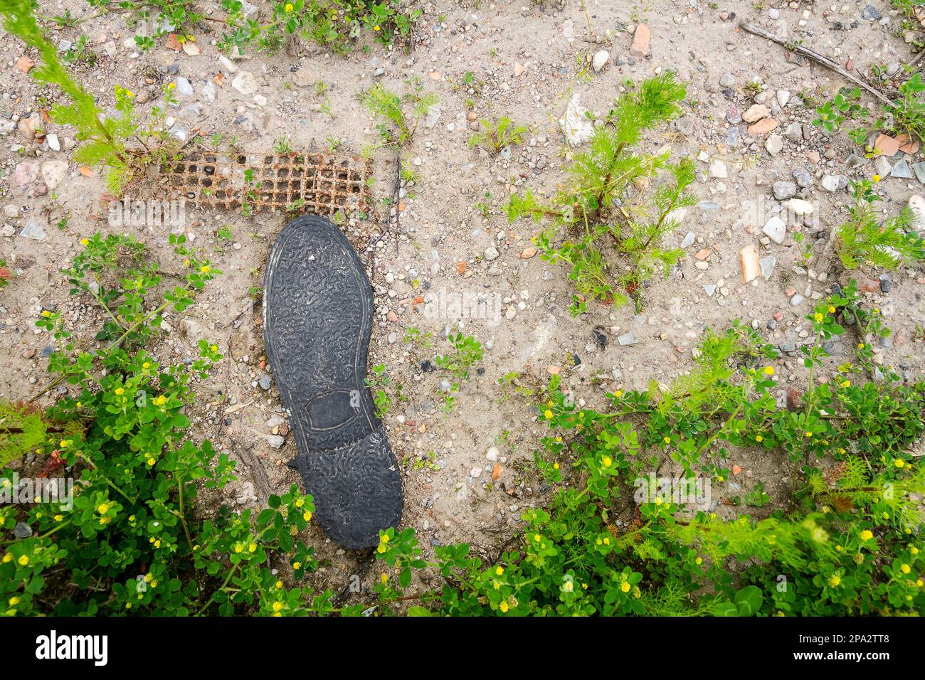 Die alte schwarze Gummisohle liegt auf dem Boden. Ökologiekonzept. Stockfoto