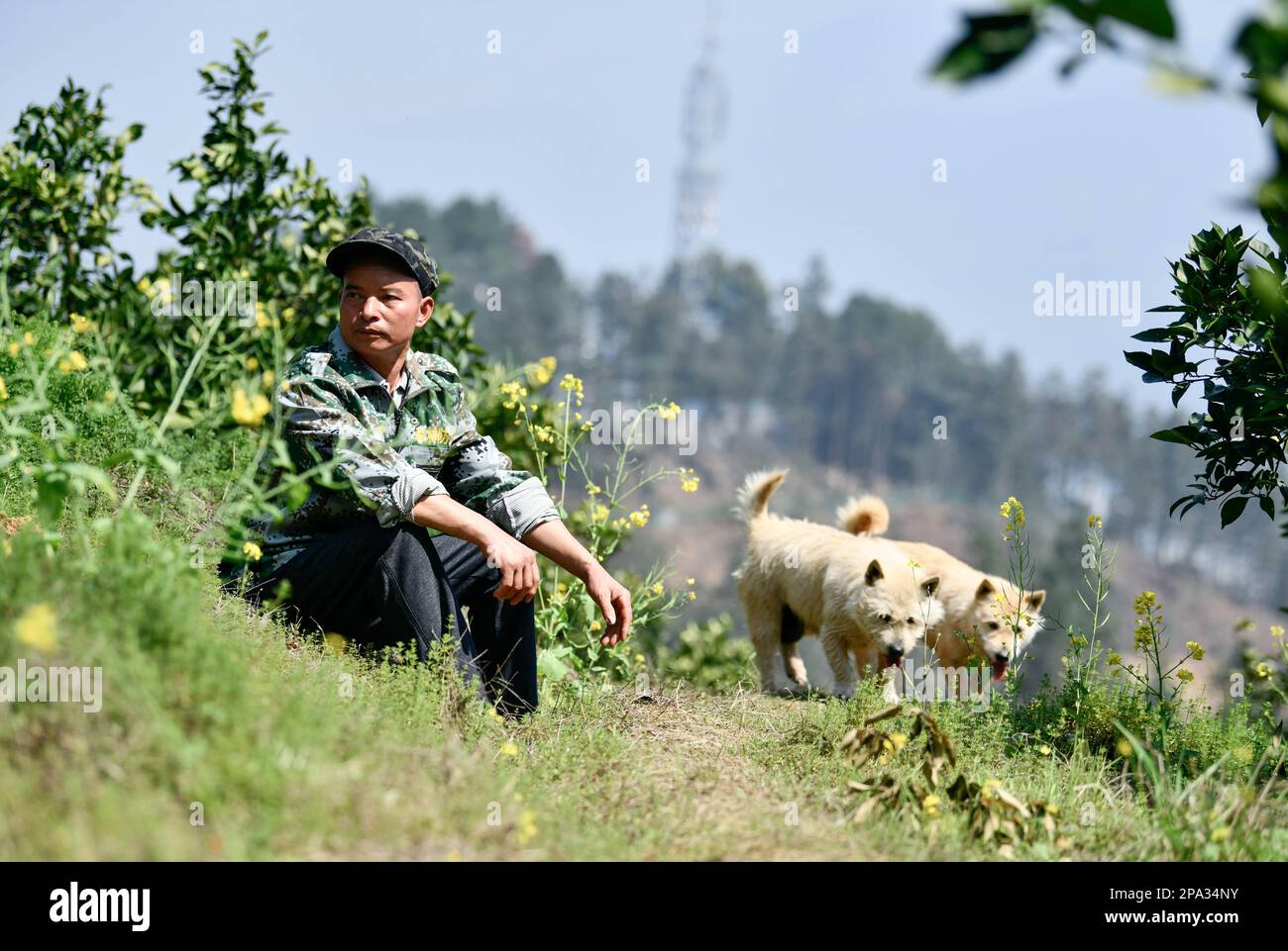 (230311) -- RONGJIANG, 11. März 2023 (Xinhua) -- Huang Tongwei macht eine Pause, während er einen Wald in Rongjiang County, Qiandongnan Miao und der autonomen Präfektur Dong, Provinz Guizhou im Südwesten Chinas patrouilliert, 9. März 2023. Es ist das 31. Jahr, in dem Huang Tongwei als Feueraussichtsturm auf einem 1991 erbauten und auf einem Berggipfel in der Provinz Rongjiang, Qiandongnan Miao und der autonomen Präfektur Dong in der Provinz Guizhou gelegenen Feueraussichtsturm tätig ist.1992, Huang wurde hier zum Brandaussichtspunkt und war verantwortlich für die Entdeckung von Waldbränden auf einer Fläche von mehr als 80.000 Mio. US-Dollar (ca. 5.333 Hektar) Stockfoto