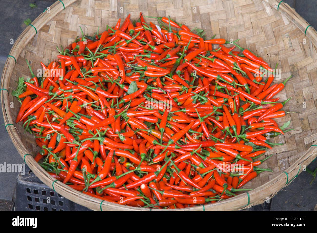 Vietnam, Hoi an, Markt, heißer Paprika, Stockfoto