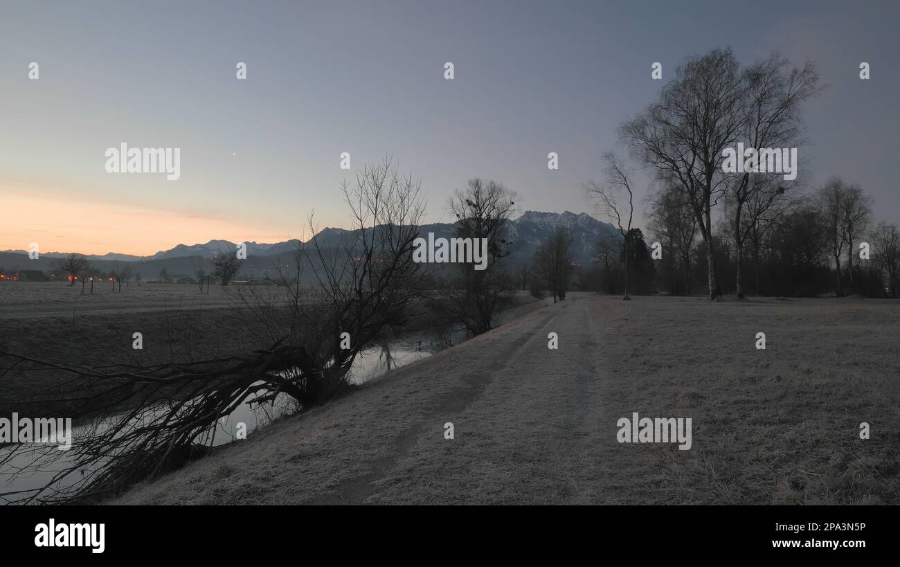 Toter Baum mit langen Zweigen neben einem Fluss an einem Wintermorgen mit Bergen und Häusern im Hintergrund Stockfoto