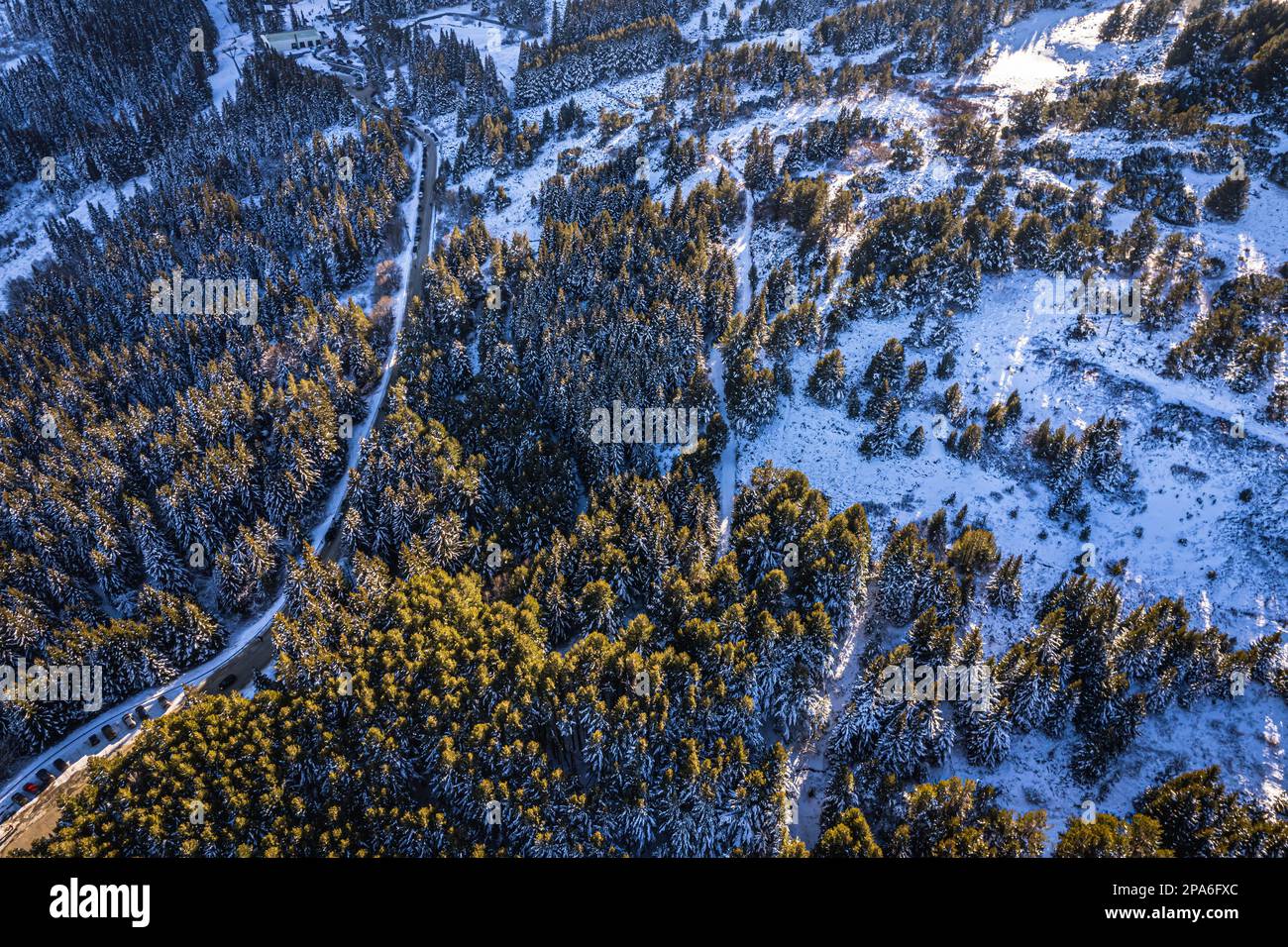 Eine malerische Winterszene in den Bergen mit einem gewundenen Pfad, umgeben von Schnee und hohen Bäumen, bedeckt von einer weißen Decke Stockfoto