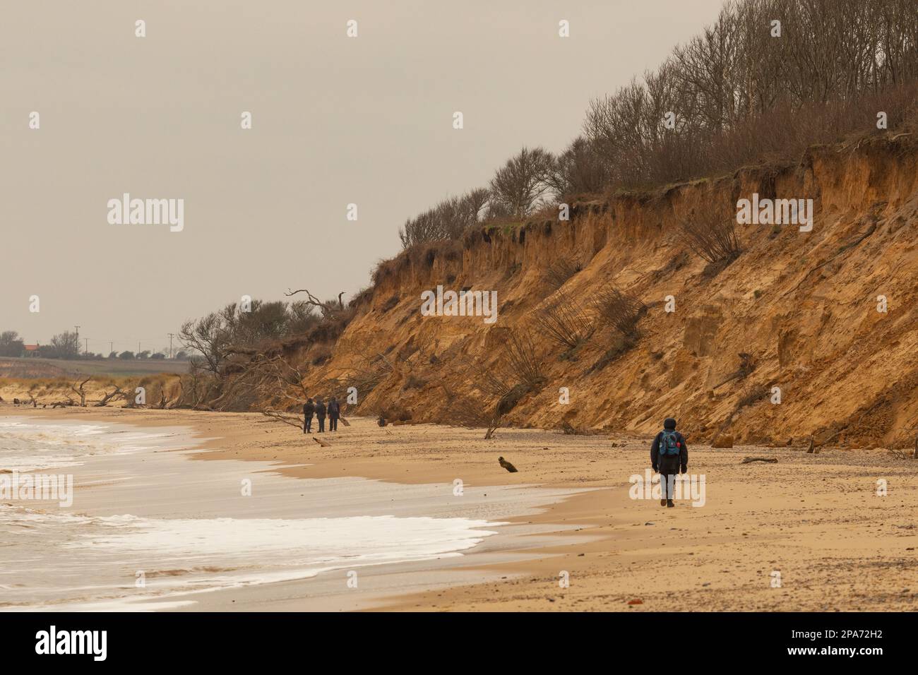 Spaziergänger in der Nähe der erodierenden Sandklippen am Strand von Easton Wood zwischen Southwold und Covehithe an der Suffolk Coast, Großbritannien Stockfoto