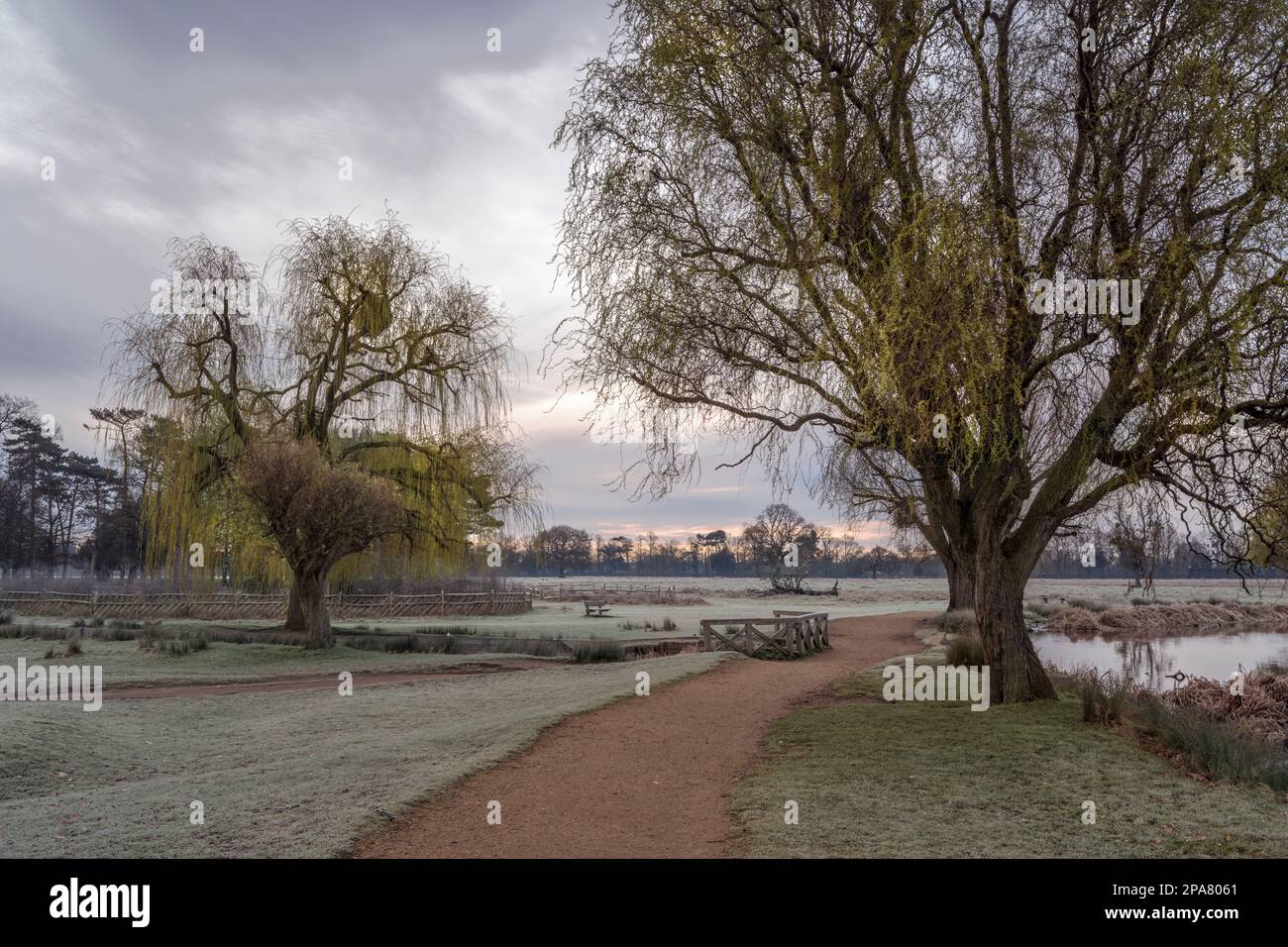 Im Buschpark Surrey UK könnt ihr bei Sonnenaufgang zwischen den Teichen spazieren Stockfoto