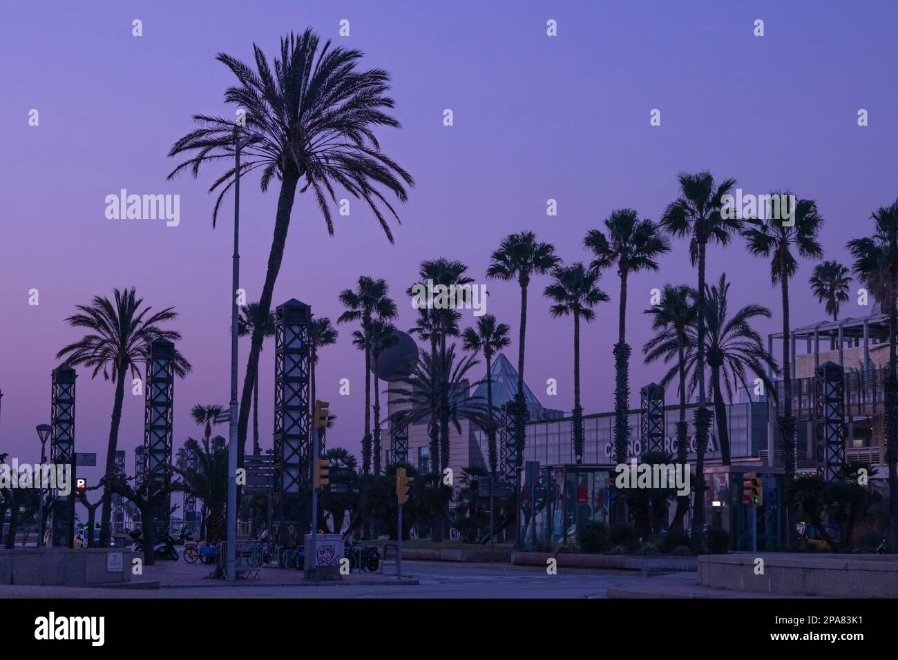 Palmen in der Nähe des Casinos Barcelona vor Sonnenaufgang Stockfoto