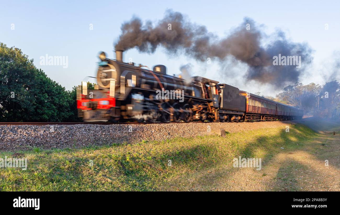 Dampflokomotive mit Touristenbussen schließt Bewegungsunschärfe auf Bahngleisen auf Landstraßen ab. Stockfoto