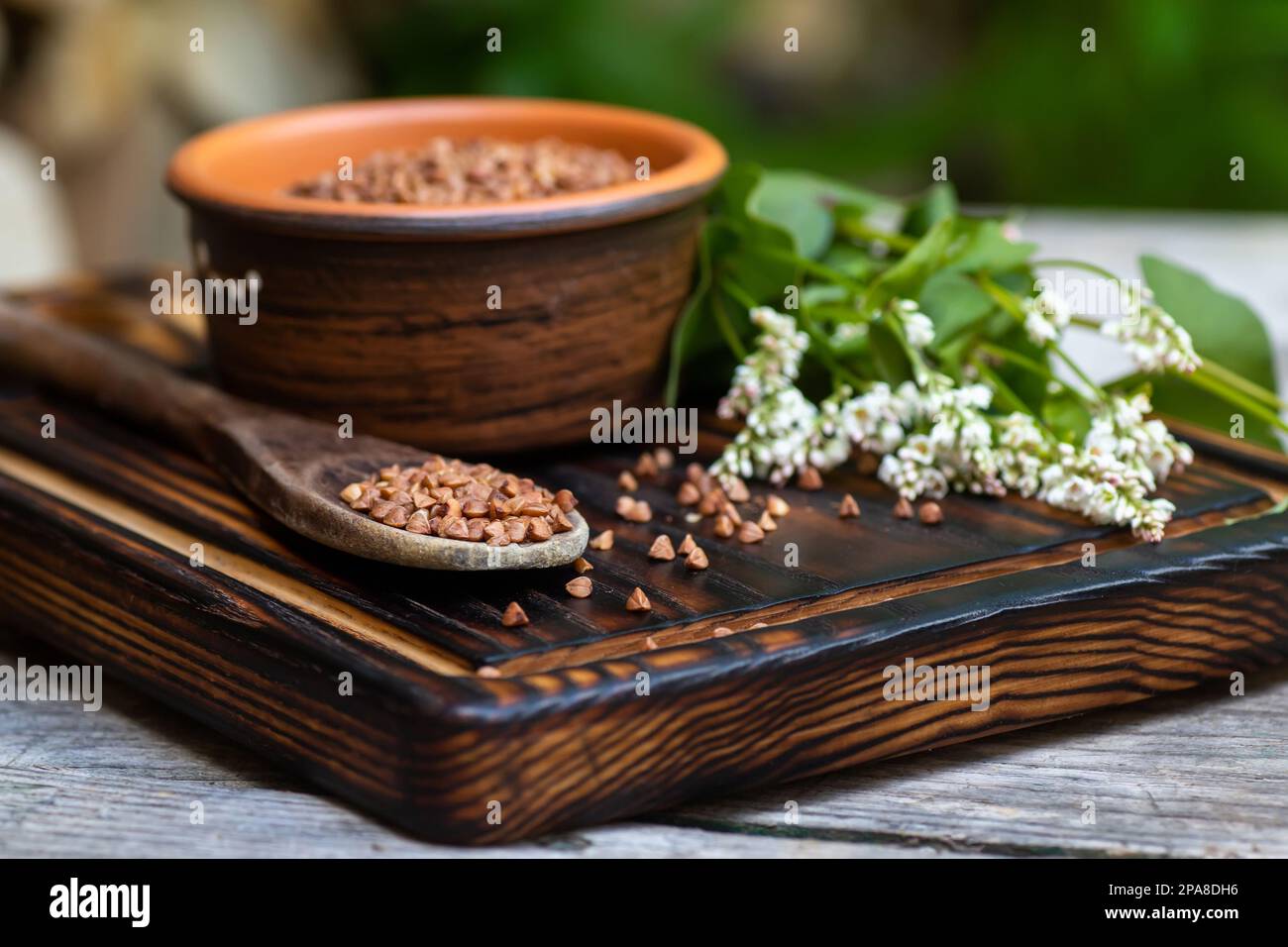 Buchweizensamen-Nahaufnahme. Geschältes Futtergetreide in einem Haufen auf einem alten Holztisch. Stillleben mit einem Strauß Buchweizenblüten in der Sommerküche. Stockfoto