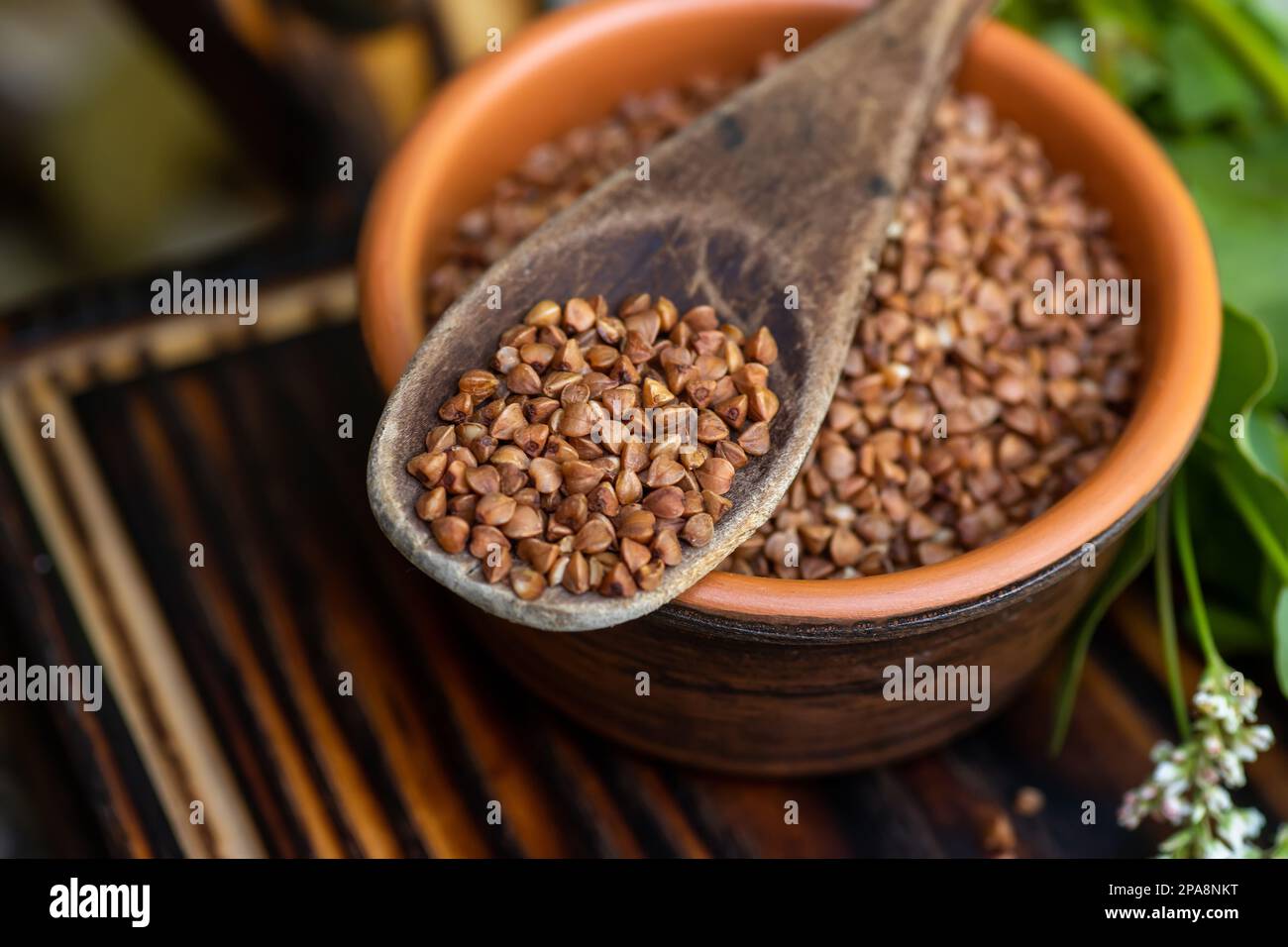 Buchweizen für Porridge-Nahaufnahmen. Getreidefutter in einer braunen Tonschüssel. Trockenes Müsli mit Ballaststoffen. In ländlichen Gebieten angebautes Getreide Stockfoto