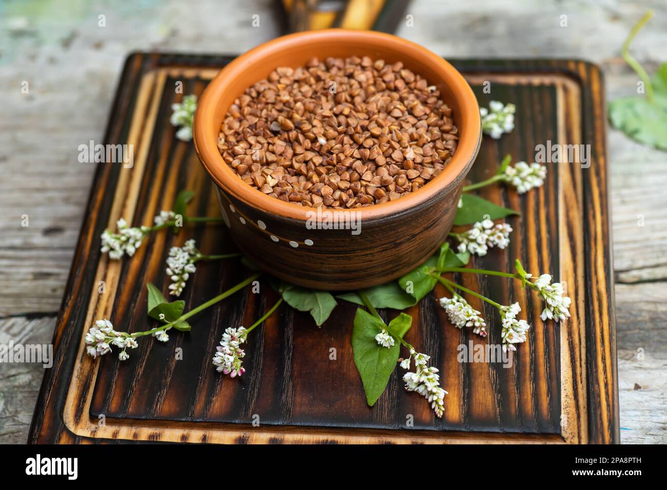 Buchweizenblumen auf einem Holztisch. Trockene Zutaten zur Herstellung von Buchweizenporridge. Geschälte Samen von Pseudozlaken. Stockfoto