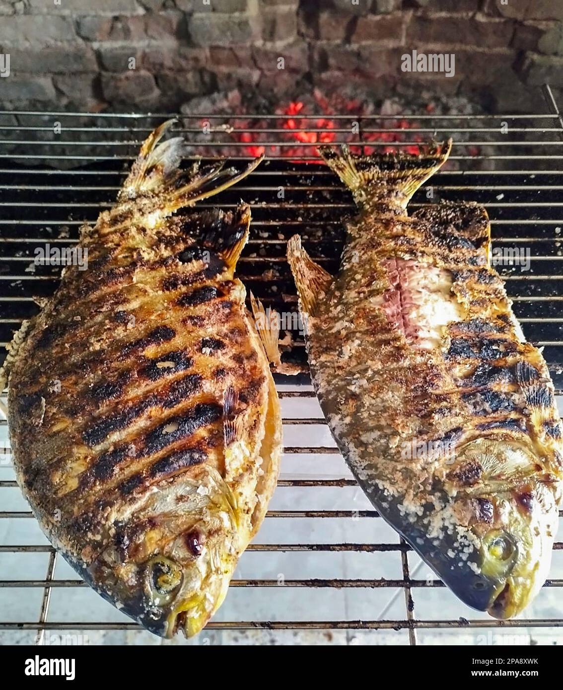 Gegrillter tropischer Fisch, Tambaqui (Colossoma macropomum) und Matrinxã (Brycon amazonicus), auch bekannt als „jatuarana“ Stockfoto